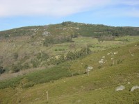 /album/photogallery/sem-titulo4-jpg/